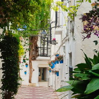 The stifling streets of Marbella.