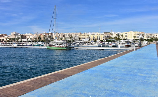 Garrucha harbour, in Spain, the scene of a bizarre fishy phenomenon