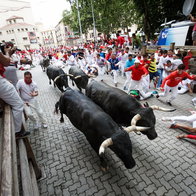 The bull run.