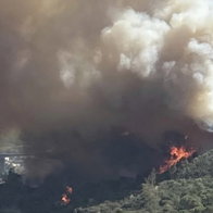 Major wildfire spotted near Selwo, Estepona