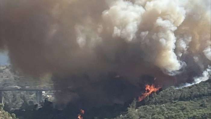 Major wildfire spotted near Selwo, Estepona