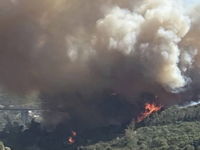 Major wildfire spotted near Selwo, Estepona