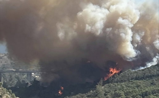 Major wildfire spotted near Selwo, Estepona