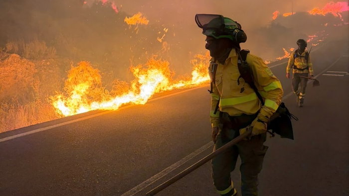 Scores of firefighters beat back blaze.