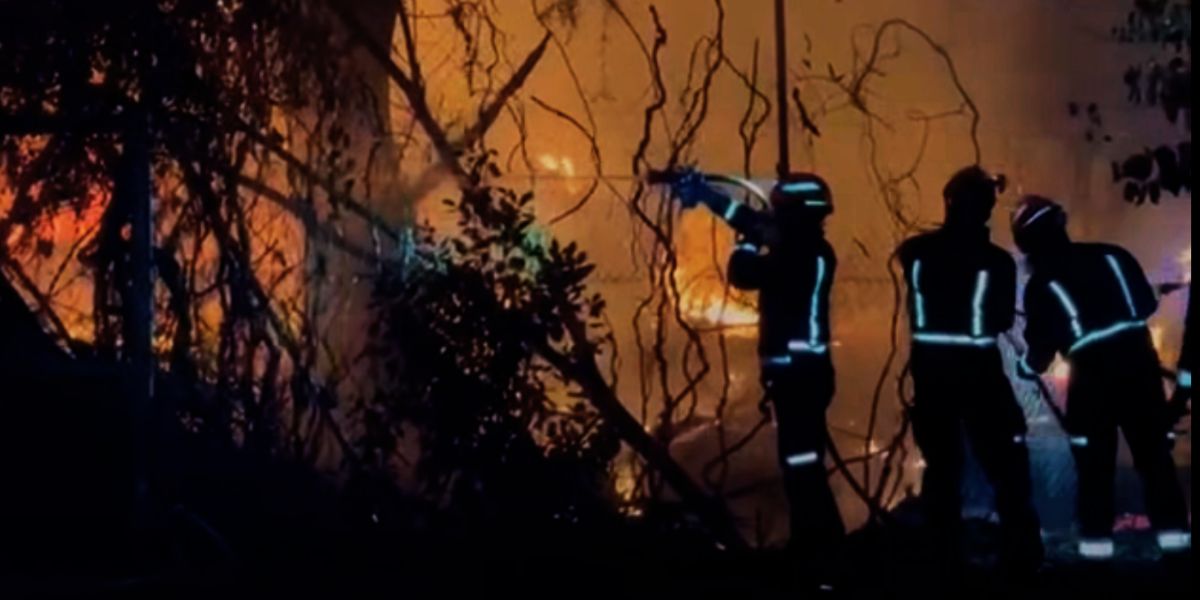 Spain declares state of emergency as Madrid wildfires force 10,000 to flee