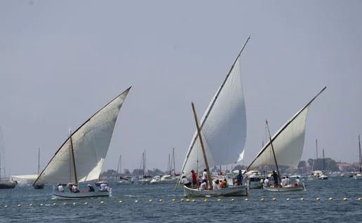 Sailboats.