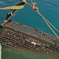 Submerged Axarquia wines return from the deep.