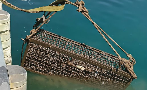 Submerged Axarquia wines return from the deep.