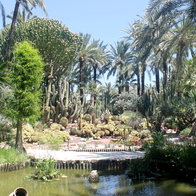 Huerto del Cura in Elche joins Europe's prestigious historic gardens network