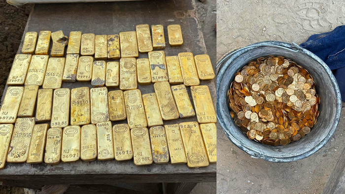 Gold bars laid out and a bucket bull of gold coins.