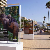Bioparc exhibition