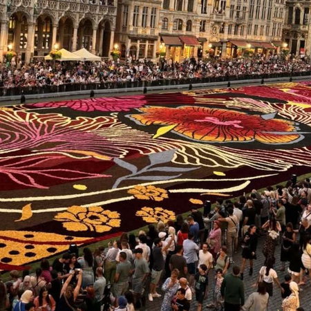 Brussels flower carpet
