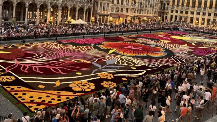 Brussels flower carpet
