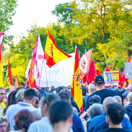 A crowd holding Spanish and regional flags at a street demonstration in Madrid