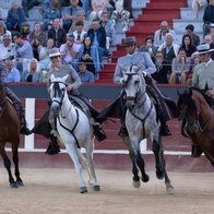 Festival del arte ecuestre