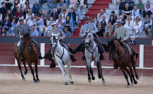 Festival del arte ecuestre