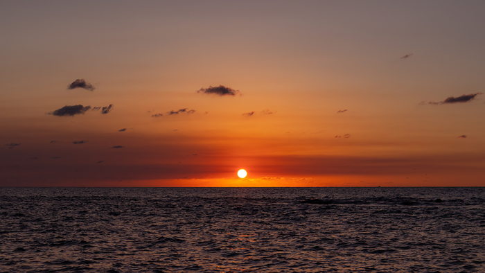The setting Sun touching the sea horizon