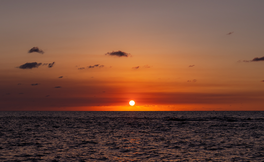 The setting Sun touching the sea horizon