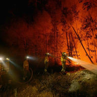 Firefighters attempting to extinguish the Huelva wildfire between trees and blazes.