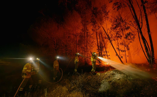 Firefighters attempting to extinguish the Huelva wildfire between trees and blazes.