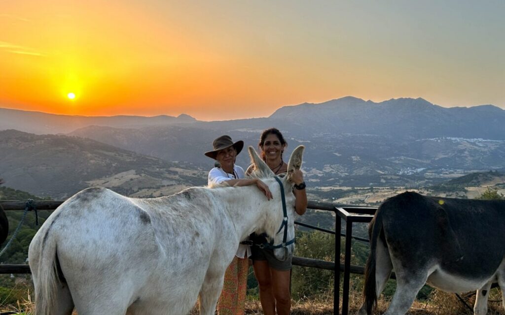 Donkey Dreamland expands: Amaya Isert’s six-year mission reaches a new mountain home