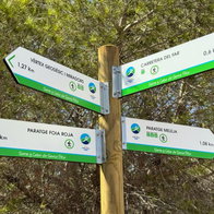 Costa Blanca towns receive funding to protect forests from fires and climate change