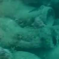 Encrusted clay amphorae scattered across the seabed in blue water.