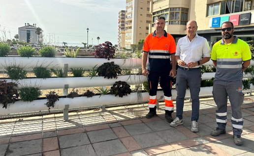 Council shows off plan for vertical gardens in Fuengirola