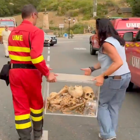 A UME emergency worker and a woman in civilian clothes carrying a clear box of skulls and bones across a road, with UME emergency vehicles behind them.