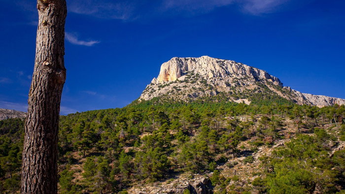 Sierra Espuña.
