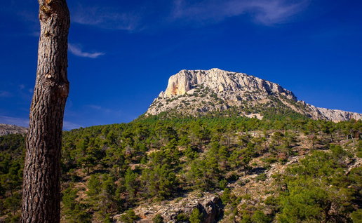 Sierra Espuña.
