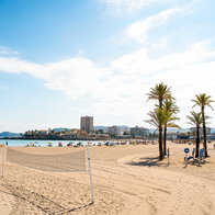 The beach.