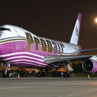 The plane.