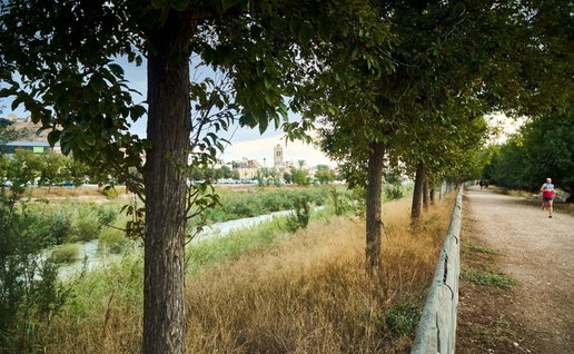 Orihuela River Segura restoration receives €3.3 million boost for greener future.