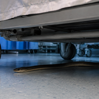 A snake underneath a hospital bed