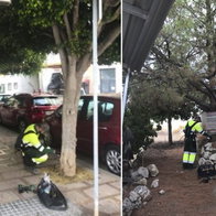 Council treating pine trees in Rincon de la Victoria against caterpillars.