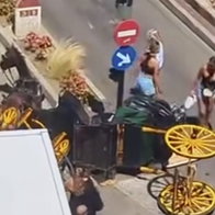 Fallen horse and cart in Fuengirola.