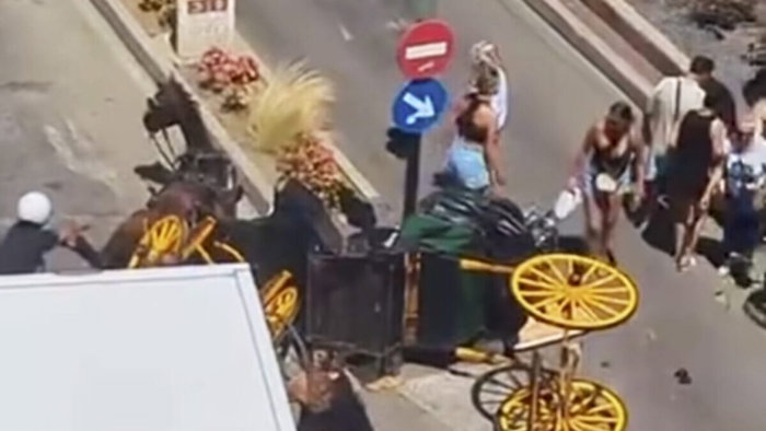 Fallen horse and cart in Fuengirola.