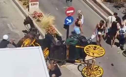 Fallen horse and cart in Fuengirola.