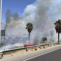 Estepona A-7 wildfire spreading.