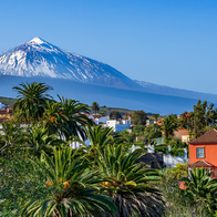 Snow-covered Mount Teide volcano rising above a Tenerife village of terracotta-roofed houses and palm trees, under a clear blue sky.