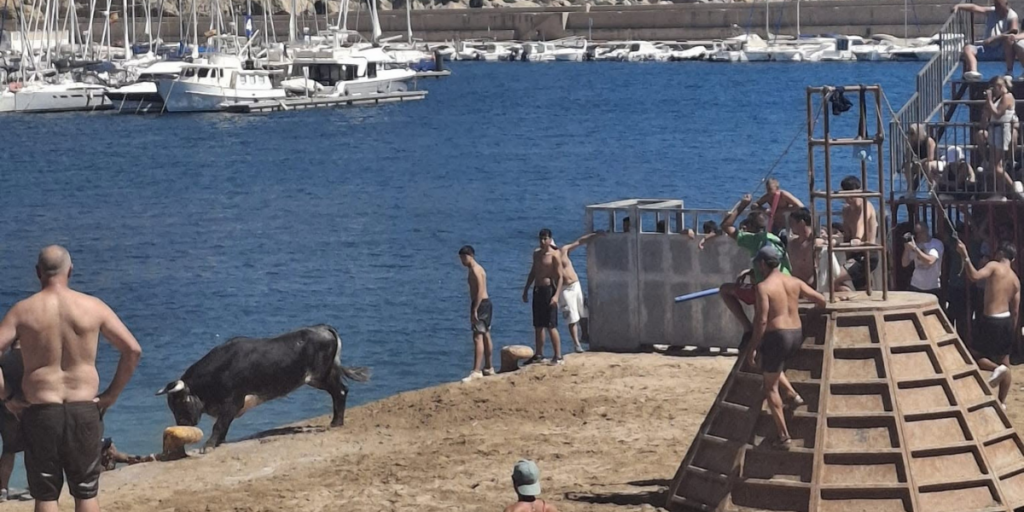 Javea’s port erupts into fiesta as Bous a la Mar returns