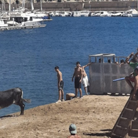 Javea’s port erupts into fiesta as Bous a la Mar returns