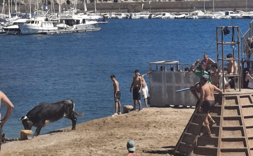 Javea’s port erupts into fiesta as Bous a la Mar returns