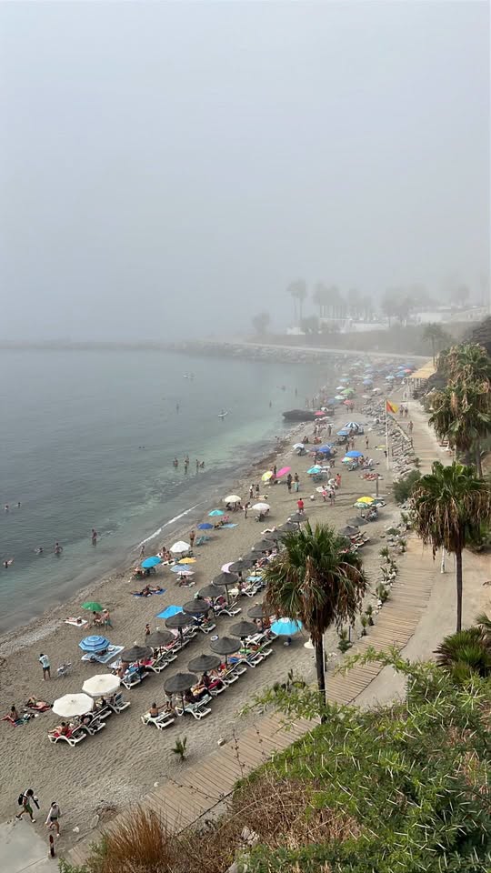 Taró captured in Benalmadena