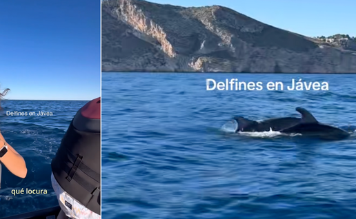 Dolphin delights jet-skier with magical surprise off Jávea coast