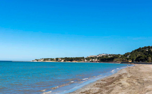 Dénia waters score top marks