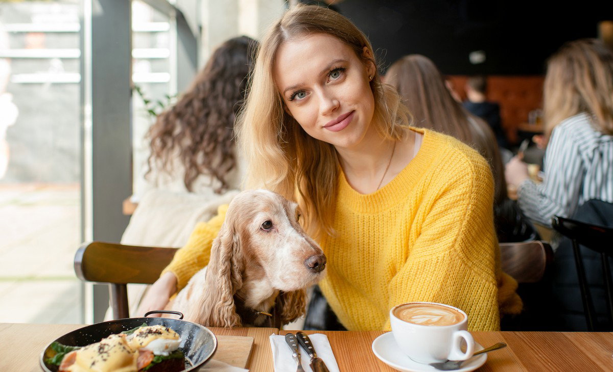 Cadiz restaurant’s extra dog-friendly welcome raises eyebrows ...