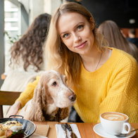 dog in restaurant