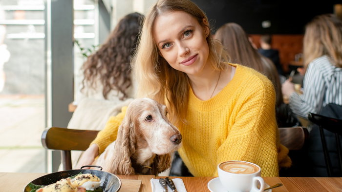 dog in restaurant